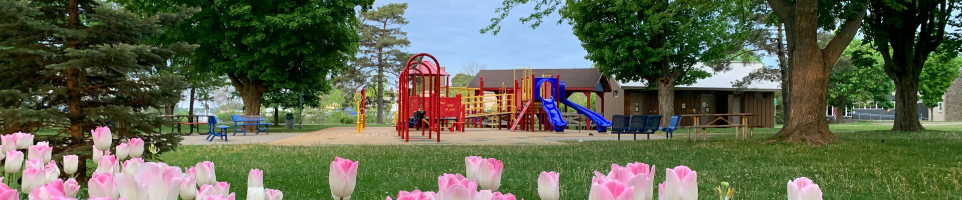 Accessible Play Structure at Hardy Park