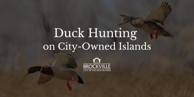 2023-2024 Islands Duck Hunting – Procedure and Registration